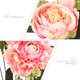 thumbnail image 3 of unbranded Ramo De Flores Artificiales Rosa Para De Hogar Y Fiestas Con Y Peonías, 3 of 8