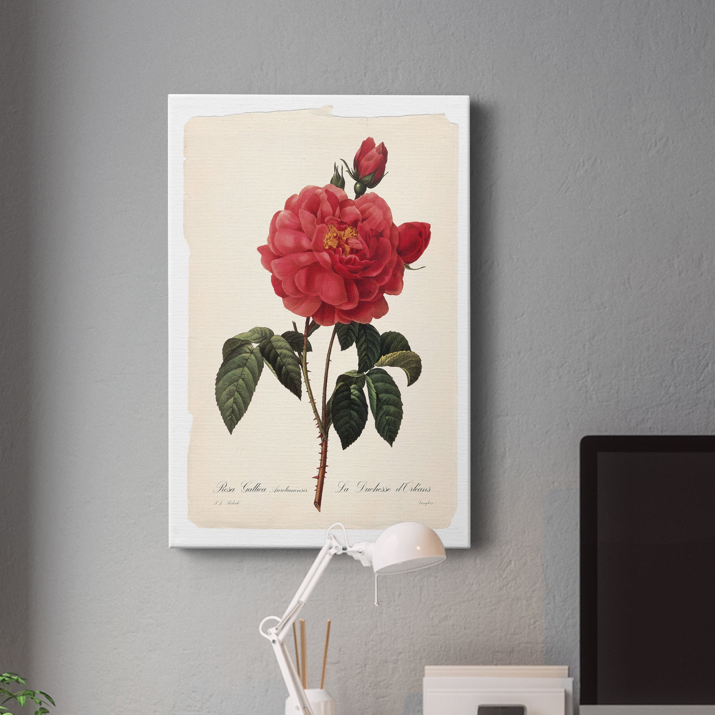 Red Botanical III Premium Gallery Wrapped Canvas - Ready to Hang - 8 x 12