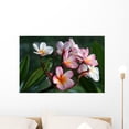 thumbnail image 1 of Plumeria Frangipani Flowers Wall Mural by Wallmonkeys Peel and Stick Graphic (24 in W x 16 in H) WM35712, 1 of 4