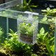 thumbnail image 1 of Cesta para Plantas de Acuario con Ventosas – Soporte Hidropónico de Altura Ajustable para Montaje En Pared, Ideal para Plantas Acuáticas, Potos y Purificación de Agua., 1 of 6