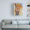 thumbnail image 2 of Mandy Budan 'Panoply' Canvas Art, 2 of 5