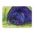 thumbnail image 1 of Carolines Treasures SS8520RUG Briard Machine Washable Memory Foam Mat, 1 of 4