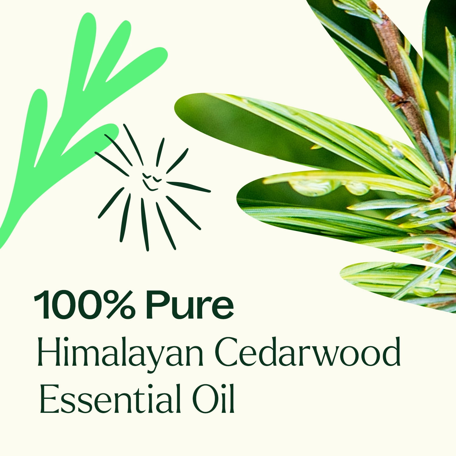 Plant Therapy Himalayan Cedarwood Essential Oil 10 mL (1/3 oz) 100% Pure, Undiluted, Therapeutic Grade