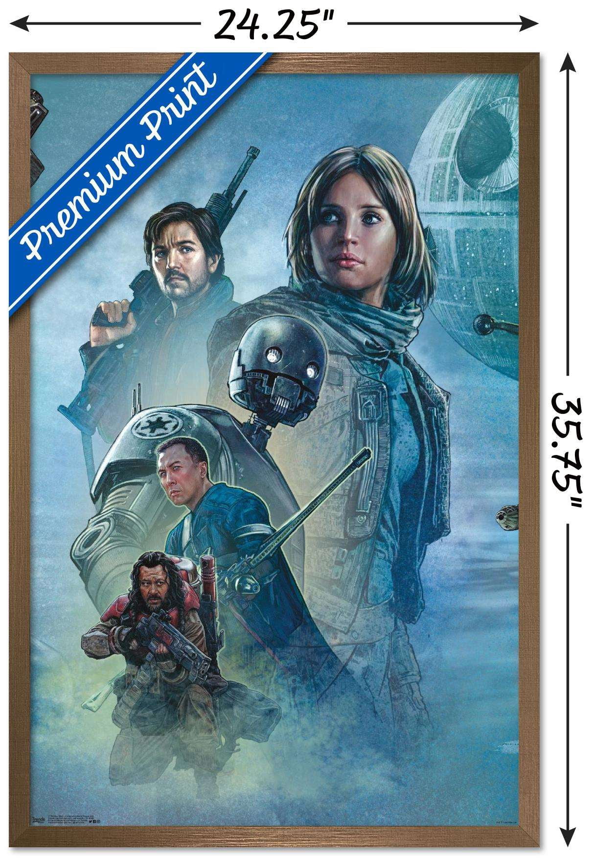 Star Wars: Rogue One - Celebration Mural Wall Poster, 22.375" x 34", Framed