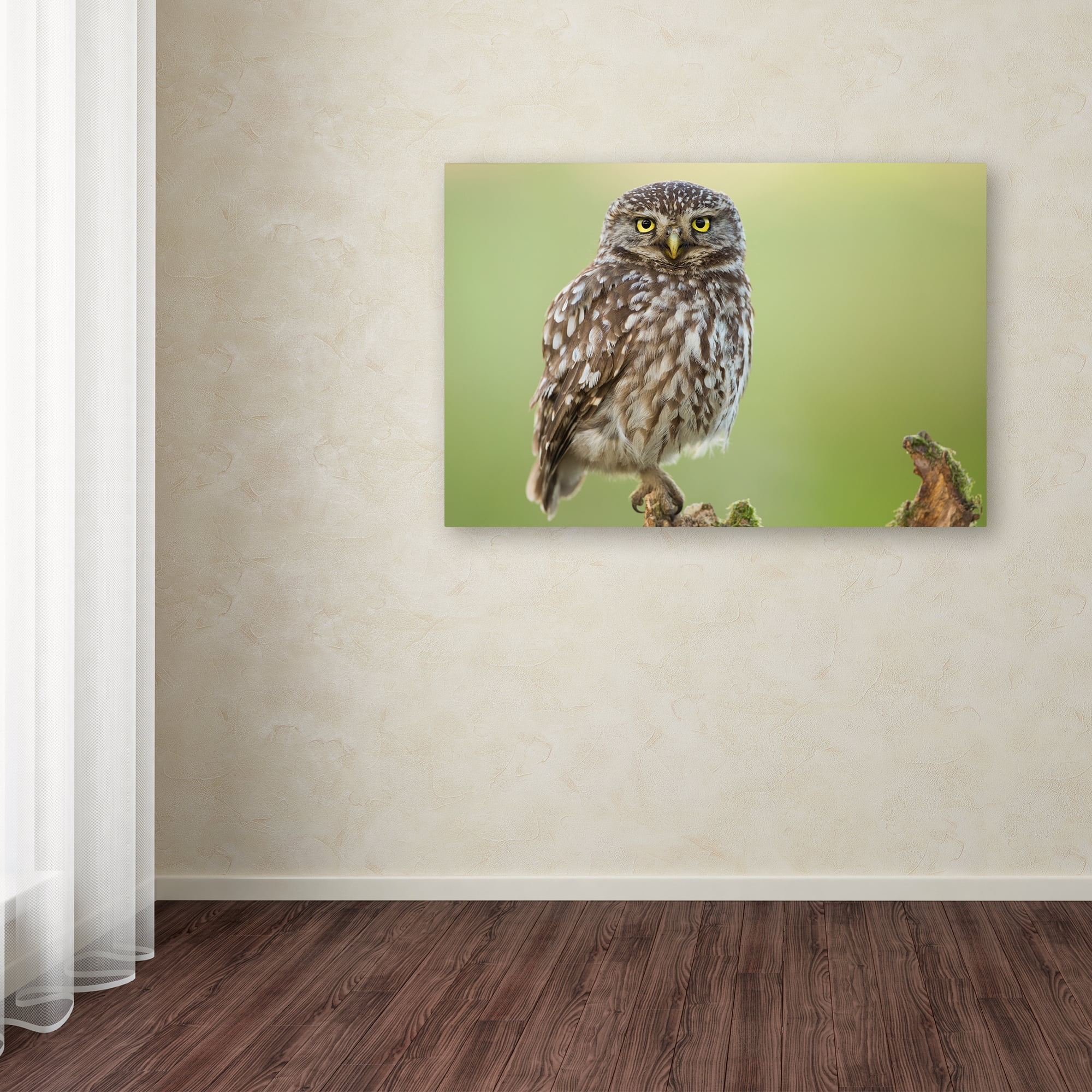 Trademark Fine Art 'The Watcher' Canvas Art by Kenny De Boeck