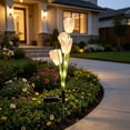 View all media