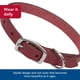 thumbnail image 4 of Collar para perro Coastal Circle T de piel de roble rojo 1.6x41 cm, 4 of 7