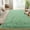 Sage Green, variant on 5'x7' Super Fluffy Rug for Bedroom, Modern Shag Black Area Rugs, Soft and Cozy Plush Large Carpet for Kids, Girls Boys and Teens Decorations for Living Room Dorm Nursery Classroom, Black