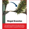 thumbnail image 5 of National Tree Company Kingswood 9' Slim Artificial Unlit Christmas Tree w/ Stand, 5 of 5