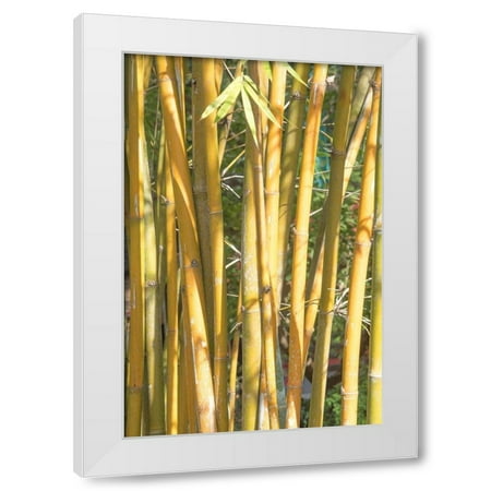 Ramona Murdock 4x14 White Modern Wood Framed Wall Art Titled - Golden Bamboo