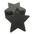 thumbnail image 1 of simhoa 100Pcs Star Shaped Gift Tags Crafts Gift Wrapping Tags for Home Party Favors Black, 1 of 7