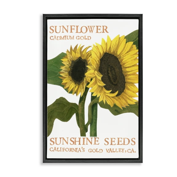 Stupell Industries Sunflower Seeds Design Typography Painting Black Floater Framed Art Print Wall Art, 17 x 25