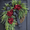 Winered-black, variant on Hydrangea Wreath For Front Door - 18 x 24" Front Door Wreath Spring & Summer Wreaths For Front Door, Cream Floral Wreaths For Front Door with Burlap Bow