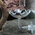 thumbnail image 1 of 1 Uds cuenco de alimentación de camarones de cristal cuenco de alimentación redondo para acuario tanques de peces Reptiles hogar cocina con ventosa esquí esquí Gafas de esquí, 1 of 4