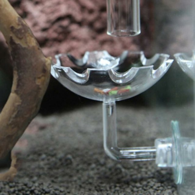 1 Uds cuenco de alimentación de camarones de cristal cuenco de alimentación redondo para acuario tanques de peces Reptiles hogar cocina con ventosa esquí esquí Gafas de esquí