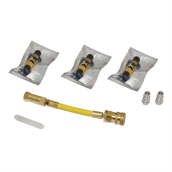 Tracer Products Hybrid A/C dye injection kit TP3811-P3 dye