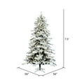 thumbnail image 2 of Vickerman 15' Flocked York Spruce Artificial Christmas Tree, EZ Dura-Lit Warm White Lights., 2 of 2