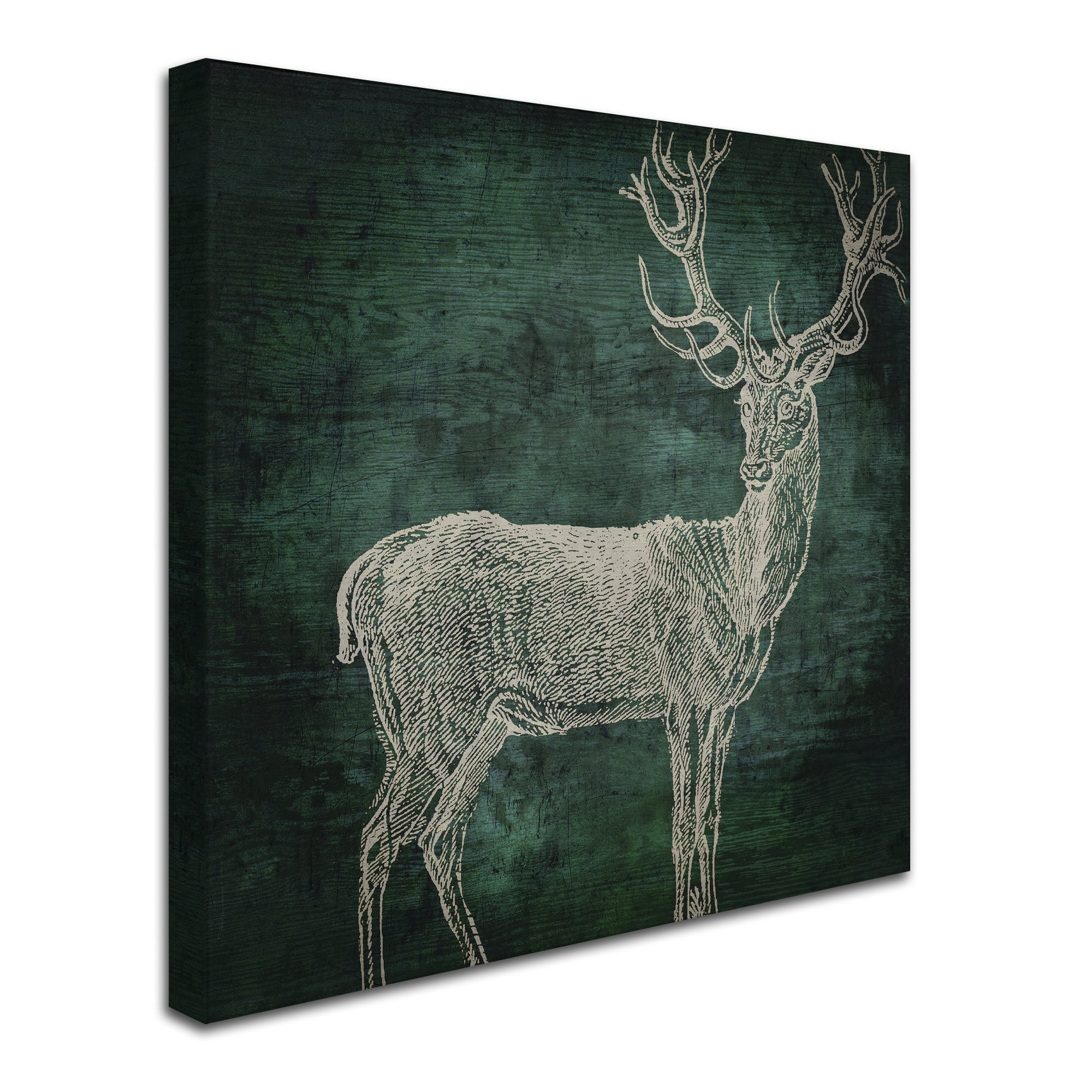 Trademark Fine Art "Emerald Deer" Canvas Art by Color Bakery