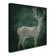 thumbnail image 3 of Trademark Fine Art "Emerald Deer" Canvas Art by Color Bakery, 3 of 4