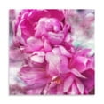 thumbnail image 2 of Gango Home Decor Contemporary Pink Flowers II by Alan Hausenflock (Printed on Paper); One 16x16in Fine Art Paper Giclee Print, 2 of 4