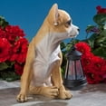 thumbnail image 5 of Chihuahua Solar Lantern Statue – Resin Dog with LED Light for Garden Décor, 5 of 6