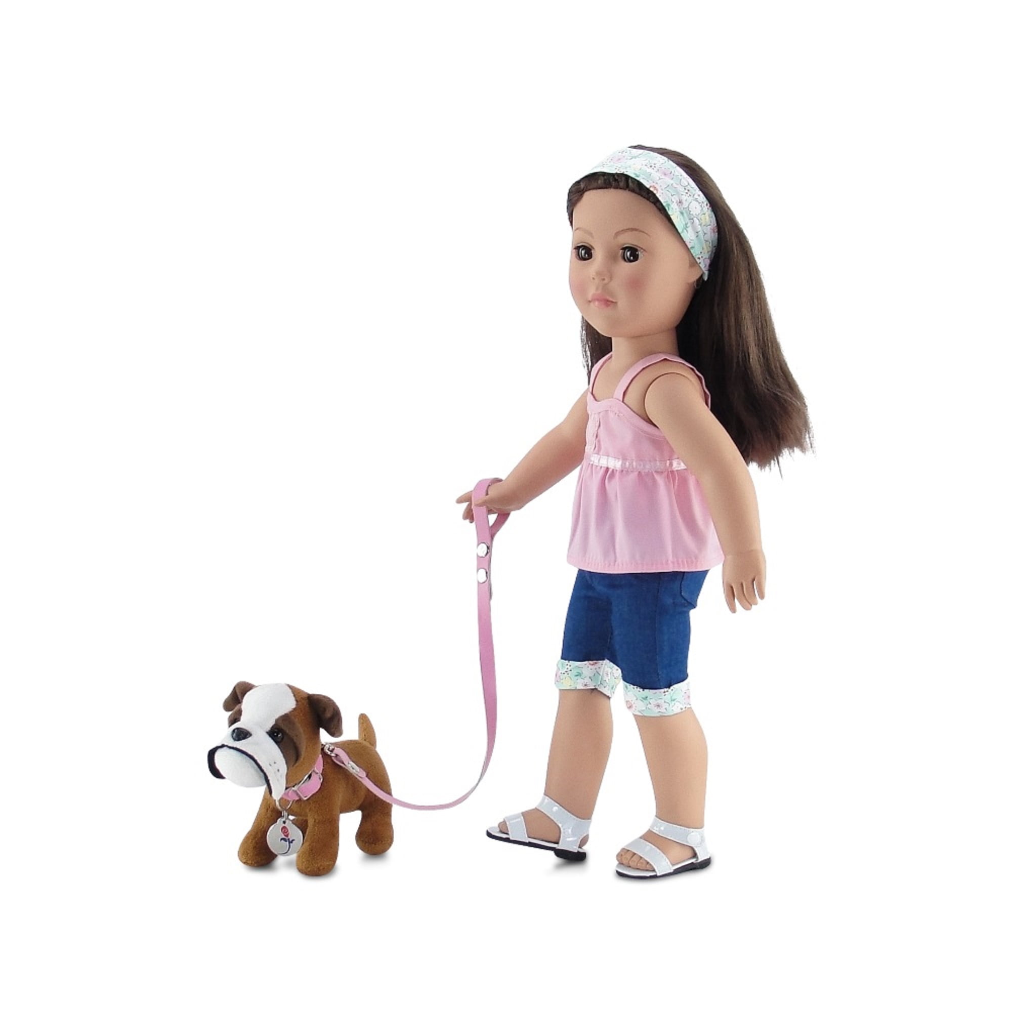 american girl doll and pet carrier