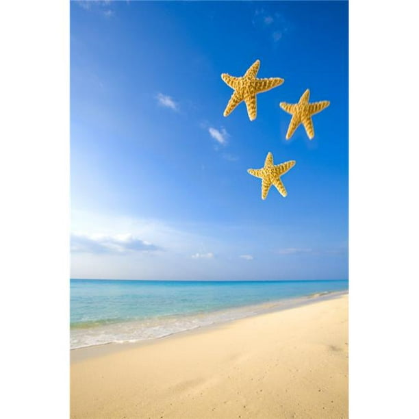 Posterazzi DPI1826507LARGE Étoile de Mer Tombant devant l'Océan Affiche Imprimée par Richard Wear, 22 x 34 - Grand