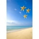 Posterazzi DPI1826507LARGE Étoile de Mer Tombant devant l'Océan Affiche Imprimée par Richard Wear, 22 x 34 - Grand – image 1 sur 1