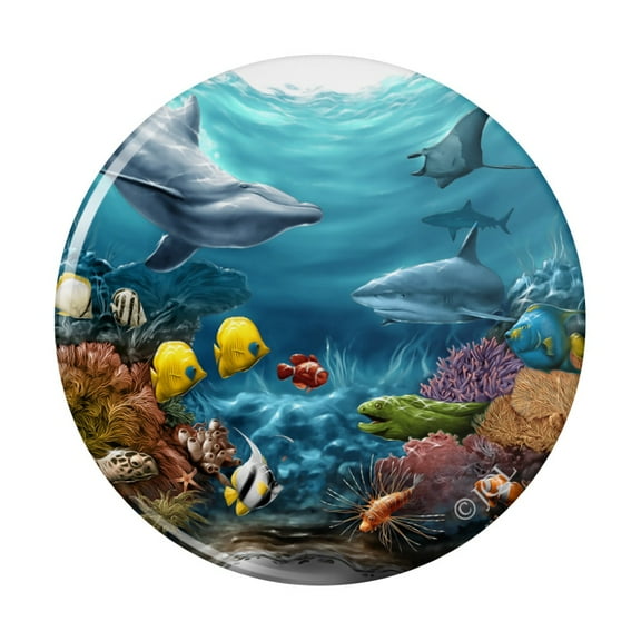 Coral Reef Ocean Scene Dolphin Turtle Shark Stingray Fish Pinback Button Pin