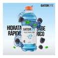 thumbnail image 4 of Bebida hidratante Gatorlyte sabor moras 591 ml, 4 of 4