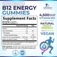 thumbnail image 3 of B12 Energy Gummies - 4500 mcg Vitamin B12 Per Serving - Extra Strength Chewable B12 Supplement for Energy, Metabolism & Immune Support - For Women, Men & Kids - Natural & Berry Flavored - 120 Gummies, 3 of 10