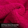 thumbnail image 5 of NC King Sherpa Fleece Bed Blanket,Embossed Winter Borrego Blanket,3-Piece 79"x91",7.5LB, 5 of 6