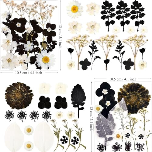 84-Piece Black Dried Pressed Flowers Bulk for Resin Molds, Natural Dry Floral for DIY Crafts, Epoxy Jewelry, Candle Soap Making, and Nails Phone Case Decor