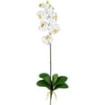 thumbnail image 2 of Nearly Natural Phalaenopsis Stem, Cream, 12pc, 2 of 2