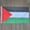 60 x 90cm, variant on Palestine National Flag 3ft x 5ft, Premium Polyester Indoor Outdoor Hanging Palestinian Banner