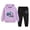 Purple, variant on YDFCWXW Boys Clothes Fall Hooded Long Sleeved Top and Pants 2 Piece Outfits Clothing Set with Pocket (Green, 9-10 Years)
