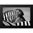 thumbnail image 2 of Pelissier, Marc 24x17 Black Modern Framed Museum Art Print Titled - Curious Zebra, 2 of 5