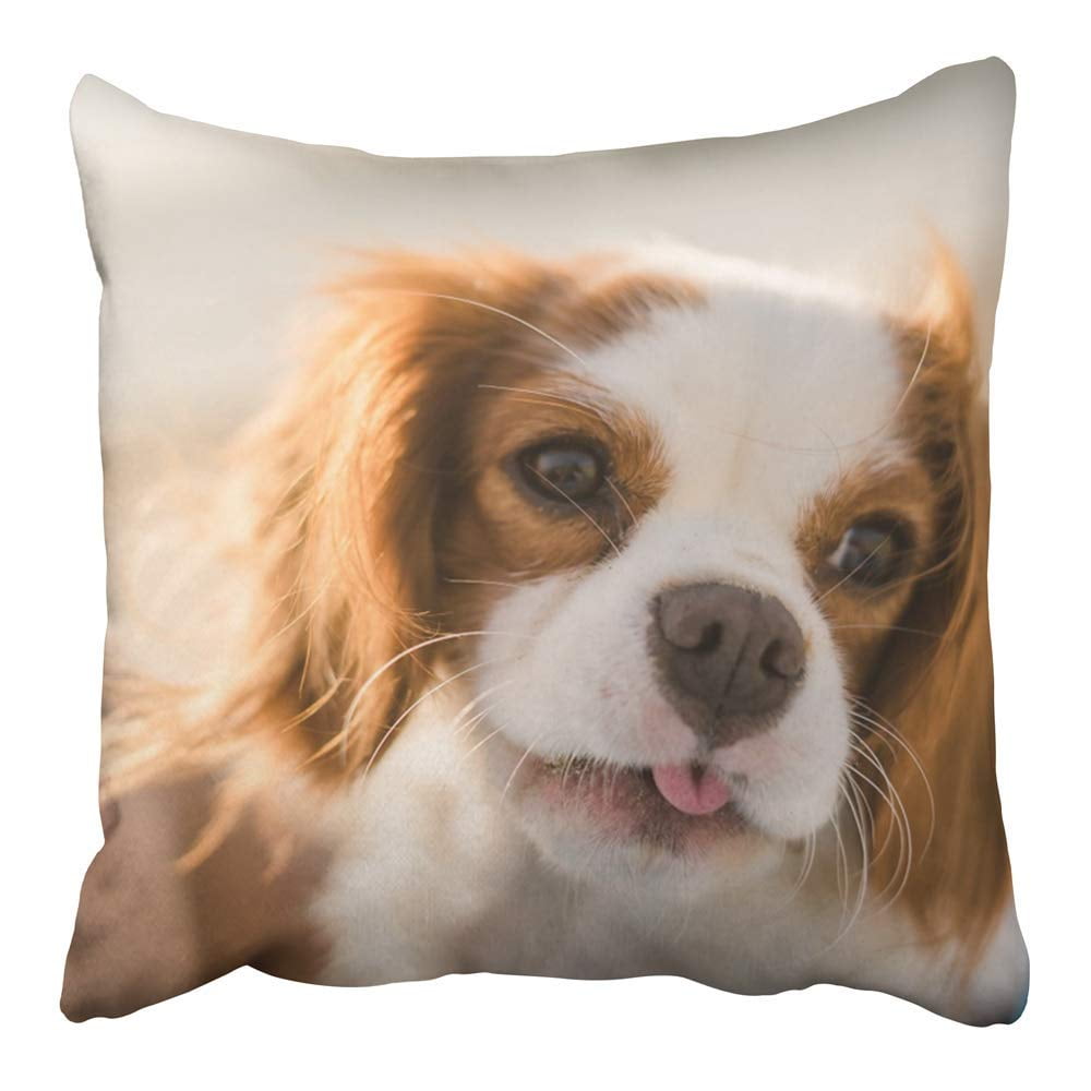 Multicolor Funny Dog Owner Gifts & Dog Lover Gift Ideas King Charles Spaniel Mom Gift Cavalier Lover Throw Pillow 16x16 
