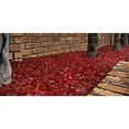 thumbnail image 2 of Margo Outdoor Living 20 lb. 1/2" Red Fire Glass for Natural or Propane Fire Pit Fireplace and Landscaping, 2 of 4