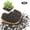 Black, variant on NOGIS 0.77lb Black Lava Rocks for Plants, Volcanic Rock Horticultural Lava Rock Soil for Landscaping Plants Drainage, Small Lava Rock Gravel for Succulents, Bonsai, Vase Fillers, Top Dressing
