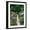 Black Frame, variant on Art.com The Garden Cat Photographic Print by Greg Gawlowski, 18" x 24"