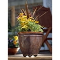 thumbnail image 3 of 4/Pkg-Cacao, 3 of 4