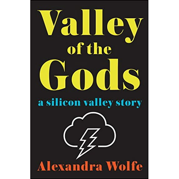 Pre-Owned Valley of the Gods: A Silicon Valley Story, 9781501147050, 1501147056, Paperback, Export ed edition