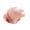 Rose, variant on Physicians Formula Organic Wear™ Organic Rose Oil Lip Polish, Rose