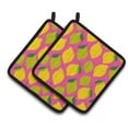 thumbnail image 1 of Carolines Treasures BB5143PTHD Citrons et Limes sur une Paire de Porte-Pots Roses, 1 of 3