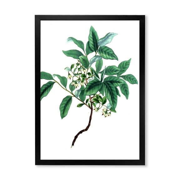 Designart 'Ancient Green Leaves Plants IV' Traditional Framed Art Print