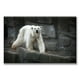 thumbnail image 1 of Cuadro Pixtreats Canva Oso Polar 60X90 cm, 1 of 4