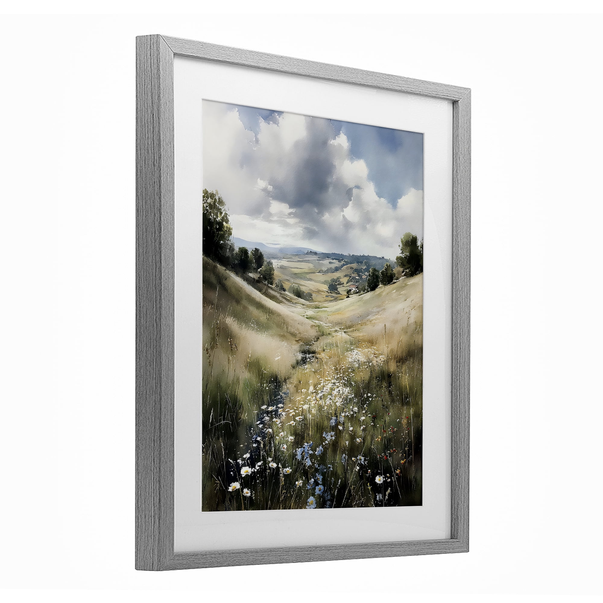 Stupell Industries Floral Valley of Wild Daisies Gray Framed Print Under Glass, design by Franklyn Gregory