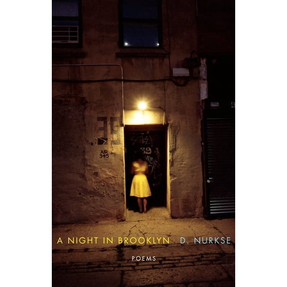 A Night in Brooklyn: Poems, (Paperback)