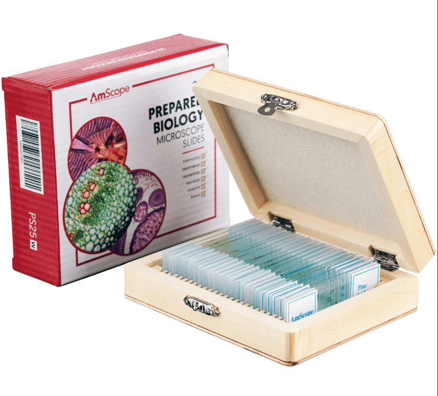 AmScope 25 Glass Prepared Microscope Slides With Wooden Box - Walmart ...